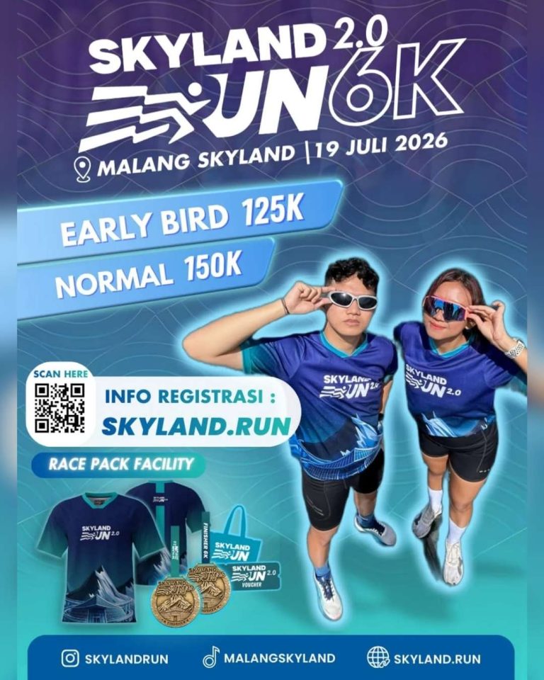 Skyland Run 2.0